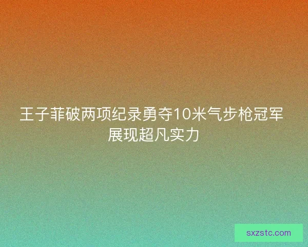 王子菲破两项纪录勇夺10米气步枪冠军 展现超凡实力